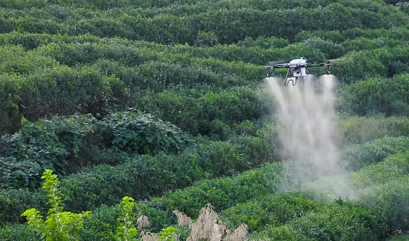 Pesticide spraying drone